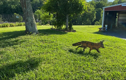 Sneaky Rustic Metal Fox Garden Decoration with Stakes